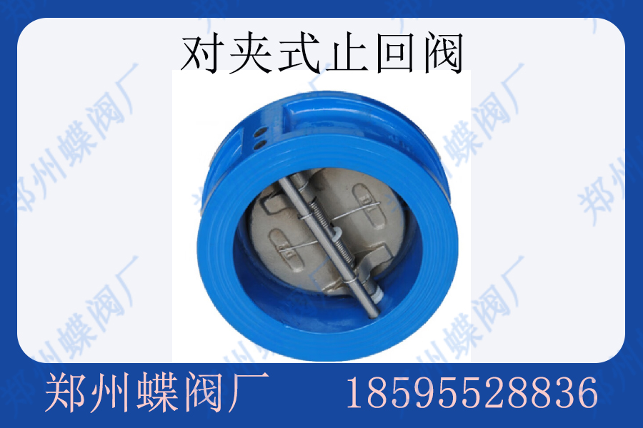 蒸汽管道通常使用什么类型的止回